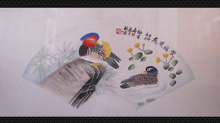 ��˫��˫�ɡ�